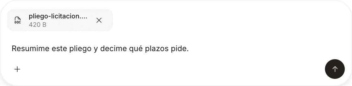 El campo del asistente con un PDF adjunto y el pedido de resumirlo escrito, todavía sin enviar.