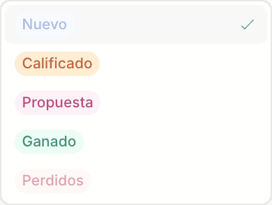 El selector de etapa dentro de la ficha, con las cinco etapas del flujo y la actual tildada.