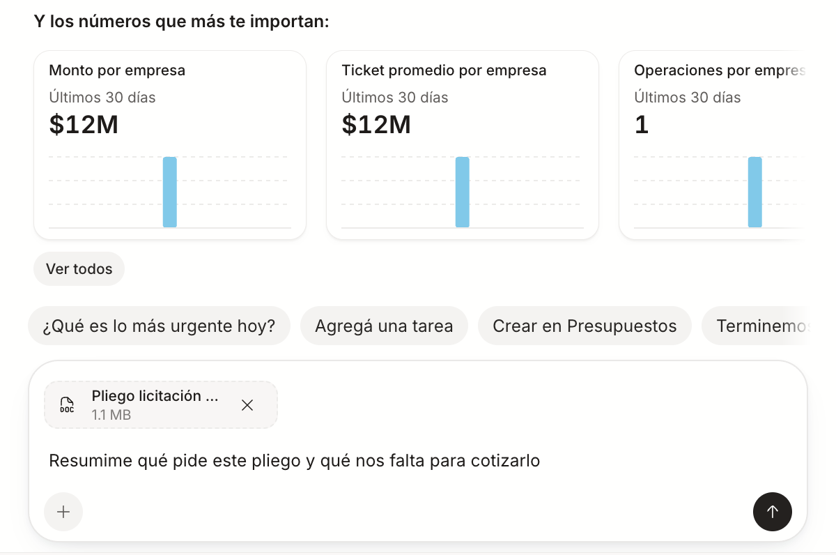 El asistente en el inicio, con un PDF adjunto y el pedido de resumirlo escrito debajo, todavía sin enviar.